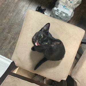 Meet your Posher, Maria